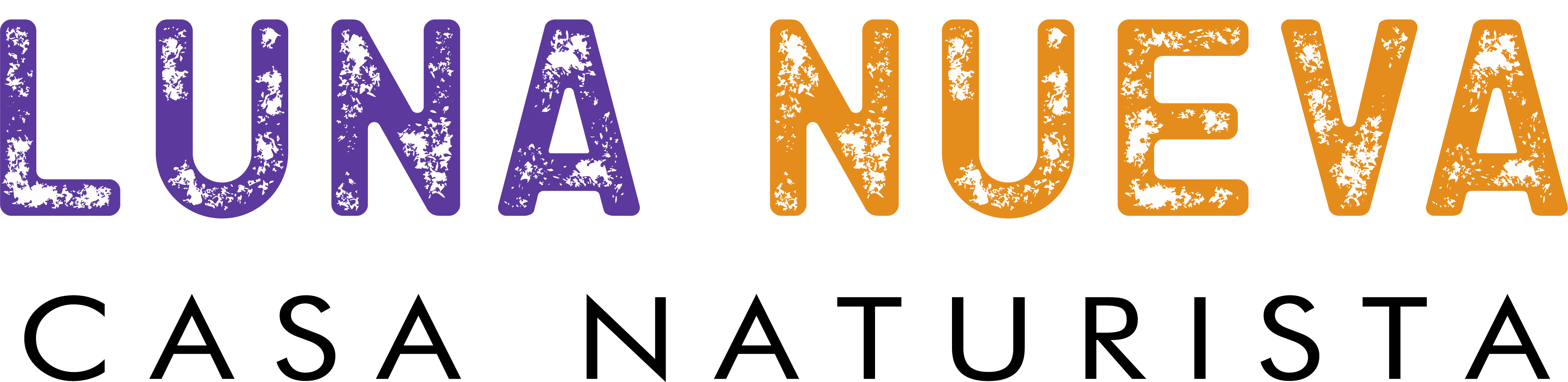 LOGO LUNA NUEVA PNG